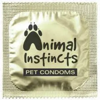  Condoms